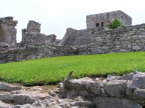 Tulúm – eine Maya-Anlage, an der Riviera Maya an der Karibikküste Mexikos