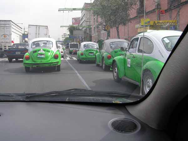Grüne VW-Käfer in Mexiko